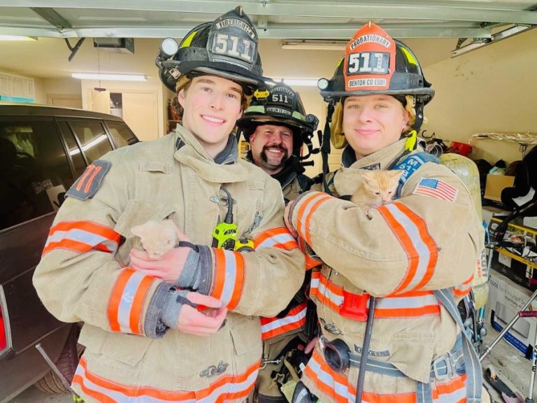 Cat-tastrophe avoided as kittens rescued from house struck by lightning