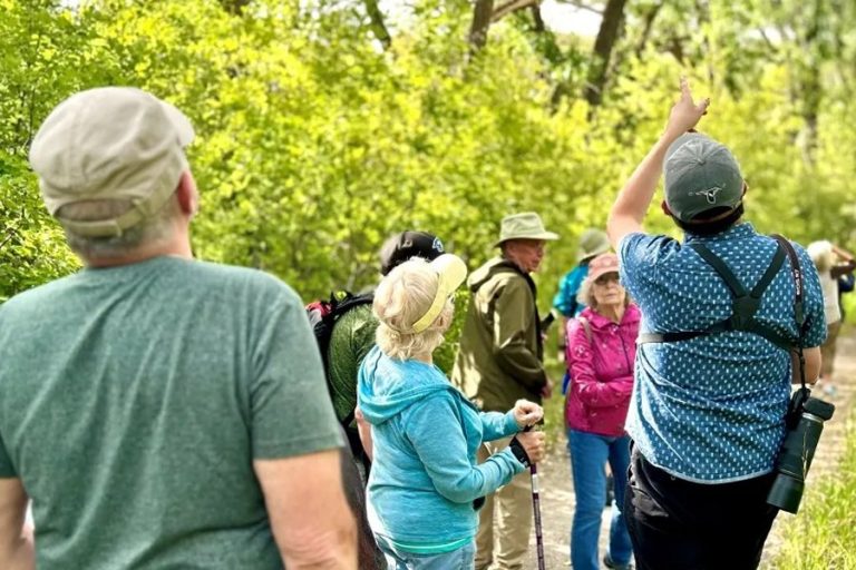 Dementia walks harness the healing power of nature