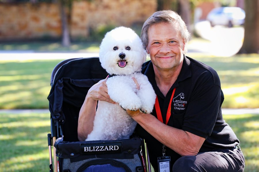 Canine Comfort: Therapy dog spreads love, hope and healing in Denton County – Cross Timbers Gazette | Southern Denton County | Flower Mound