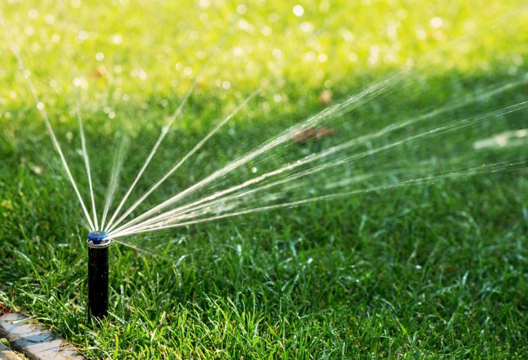 Rainwater harvesting, turf management training to be held in Lewisville