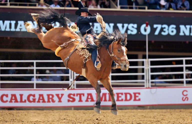 Travel with Terri: The legendary Calgary Stampede