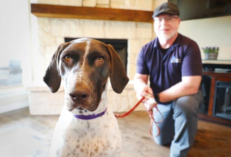 When it comes to dog training, there’s no place like home