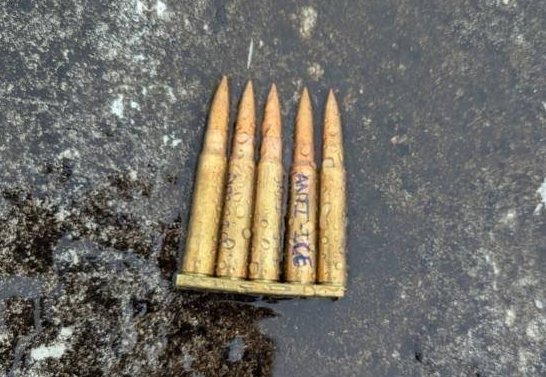 More details released on Dallas ICE attack; Local leaders react