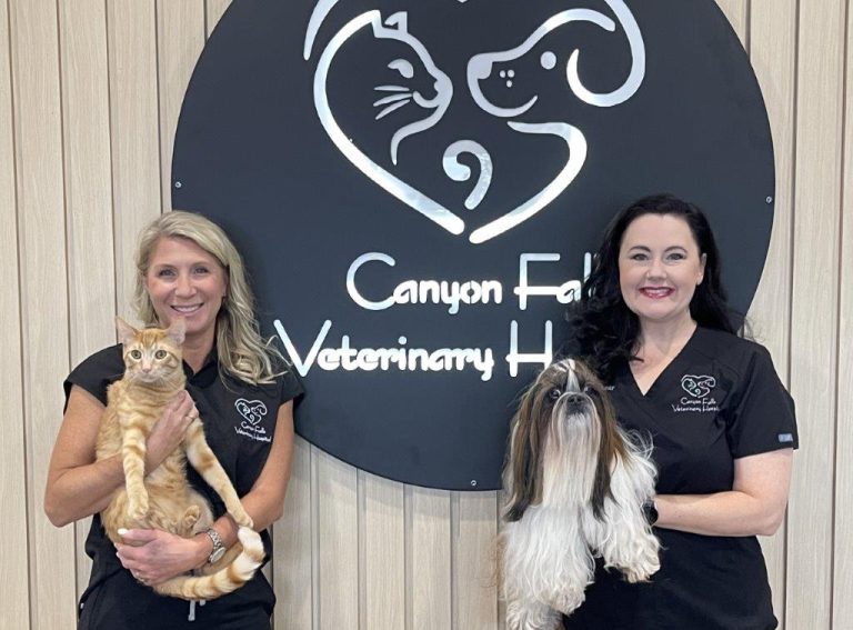 Canyon Falls Veterinary Hospital: A purr-fectly calming space for cats, dogs and their families