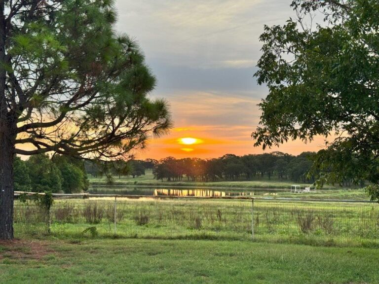 Eden Ranch plan advances with bigger lots, more parkland