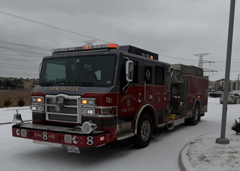 Lewisville firefighters brave freezing pond in to save woman and dog