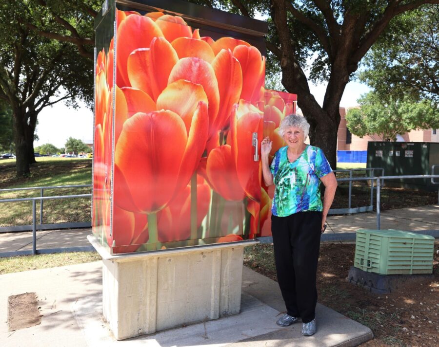 Flower Mound seeking artists to beautify traffic signal boxes around town