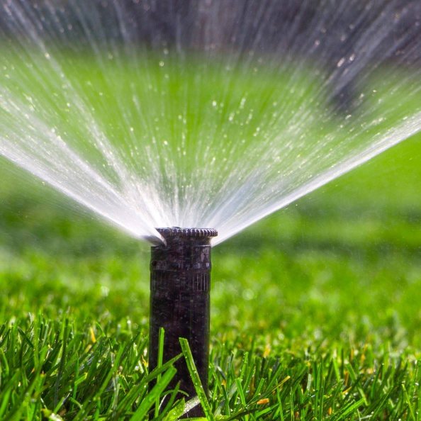 TLC The Landscape Company LLC