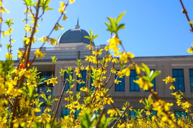 Eads: Spring brings blooms and sunshine! 