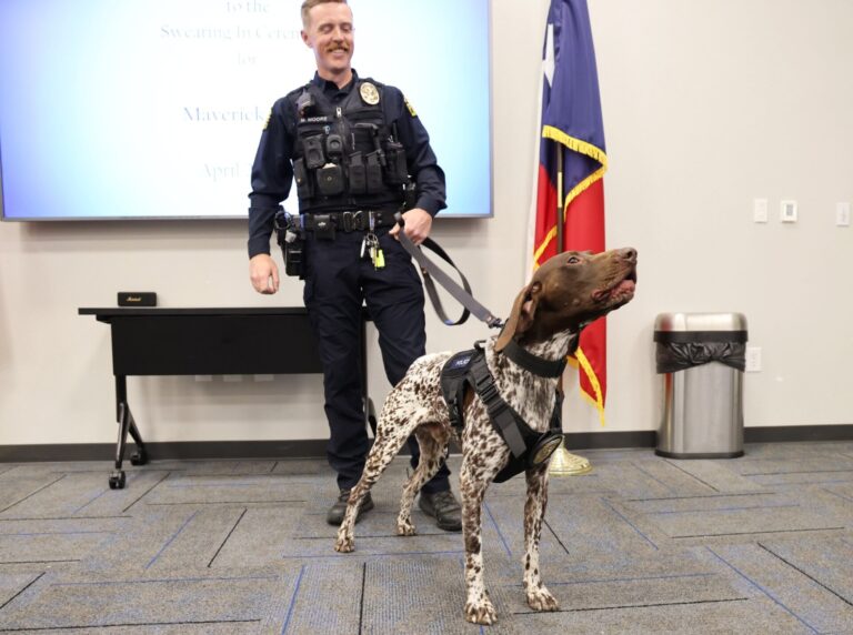 Flower Mound PD welcomes paw-some police officer to squad