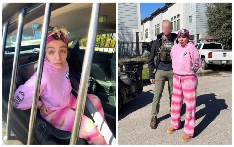 Traffic stop in Flower Mound leads to takedown of multi-state passport ...