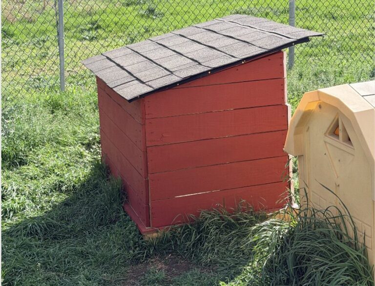 Lantana resident’s roofing business helps dogs at local shelter take cover