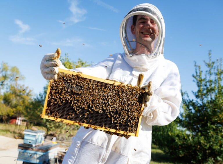 Guyer grad’s passion for bees results in sweet success