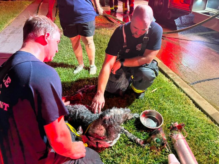 Lewisville Fire Department saves pet during overnight house fire