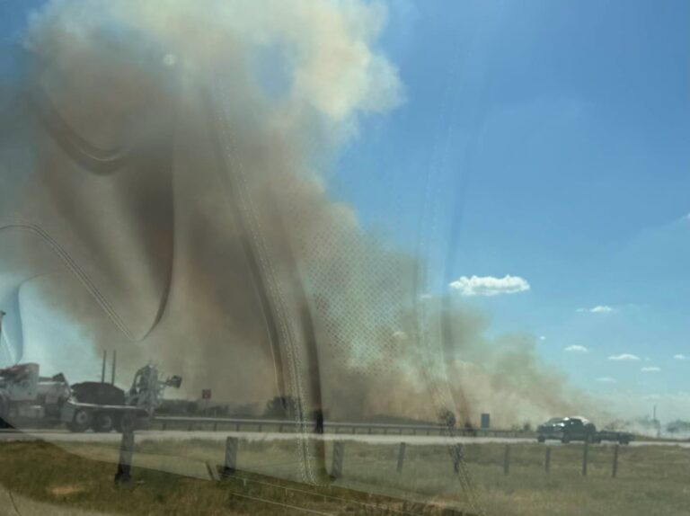 Justin FD quickly contains grass fire sparked by vehicle crash