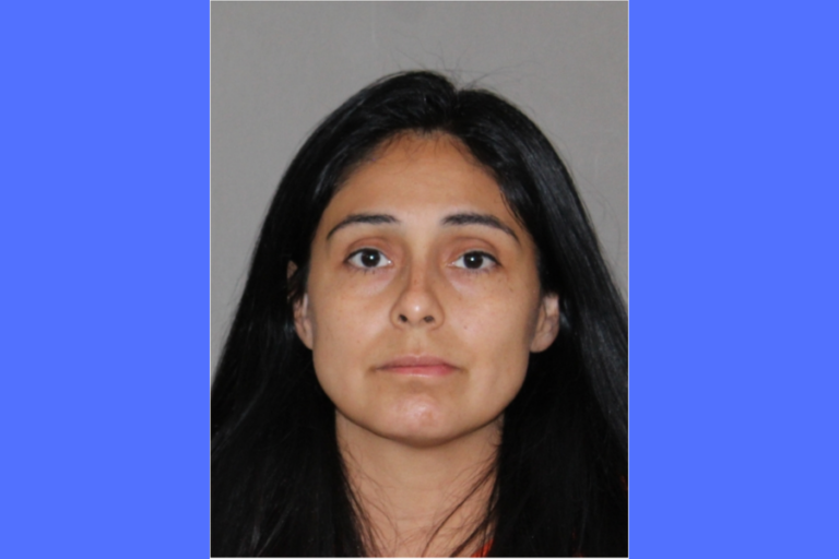 Children allegedly stabbed by Northlake mom released from hospital, mother’s bond set at $2 million